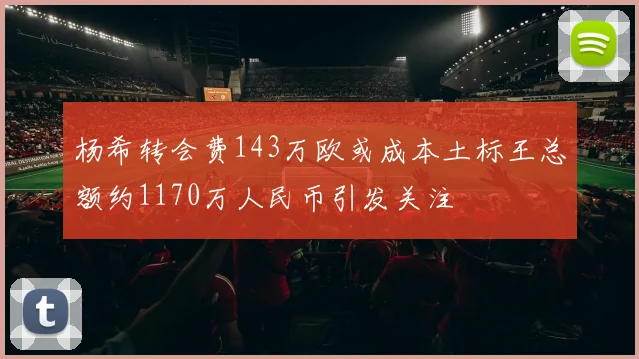杨希转会费143万欧或成本土标王总额约1170万人民币引发关注